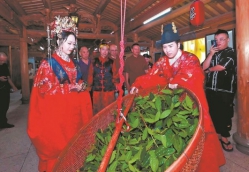 茶香中的甜蜜婚礼——安溪传统茶俗婚礼既有中国古代茶俗元素，又融入安溪地域特色，让人们在庄重的仪式中感受到茶香与古礼碰撞出的独特魅力
